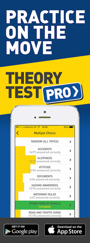 Theory Test Pro